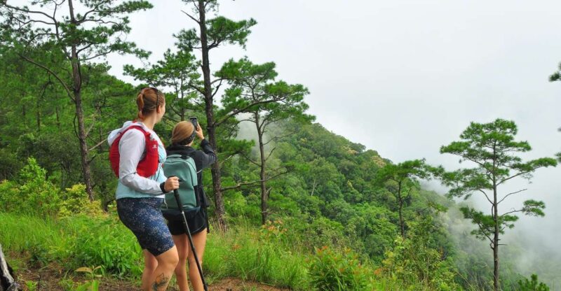 Chiang Mai: Full-Day Hiking Tour by Trailhead - An In-Depth Look at the Experience