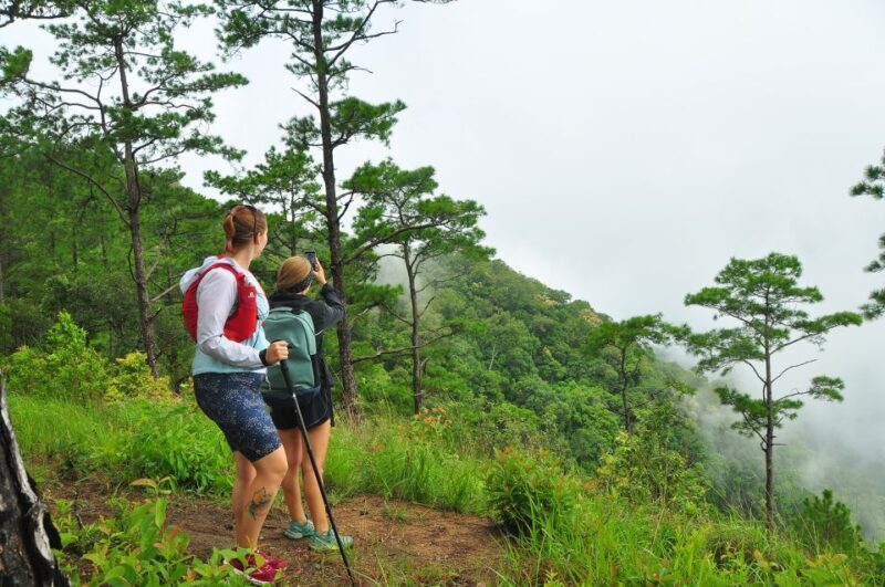 Chiang Mai: Full-Day Hiking Tour by Trailhead - What Makes This Tour Stand Out