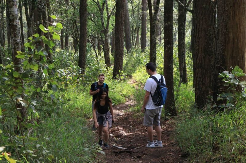 Chiang Mai: Full-Day Hiking Tour by Trailhead - The Sum Up