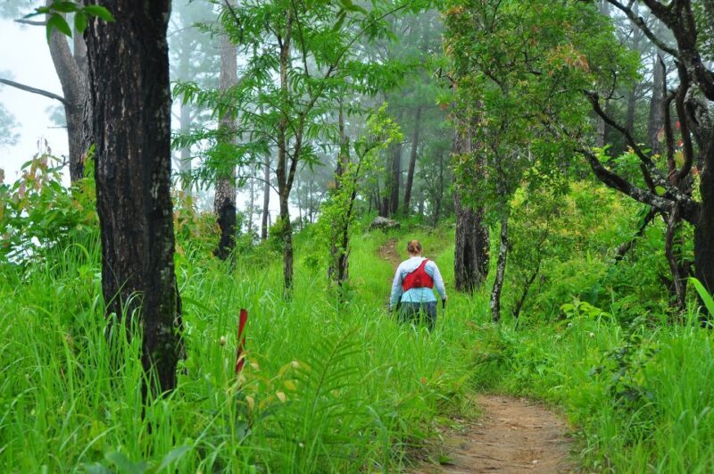 Chiang Mai: Full-Day Hiking Tour by Trailhead - Frequently Asked Questions