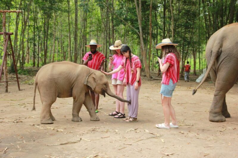 Chiang Mai: Full-Day Kerchor Elephant Eco Park Tour & Trek - An Honest Look at the Experience