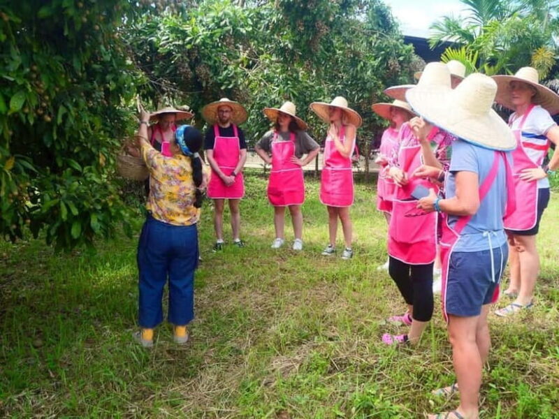 Chiang Mai: Full-Day Thai Cooking Experience at a Local Farm - Key Points
