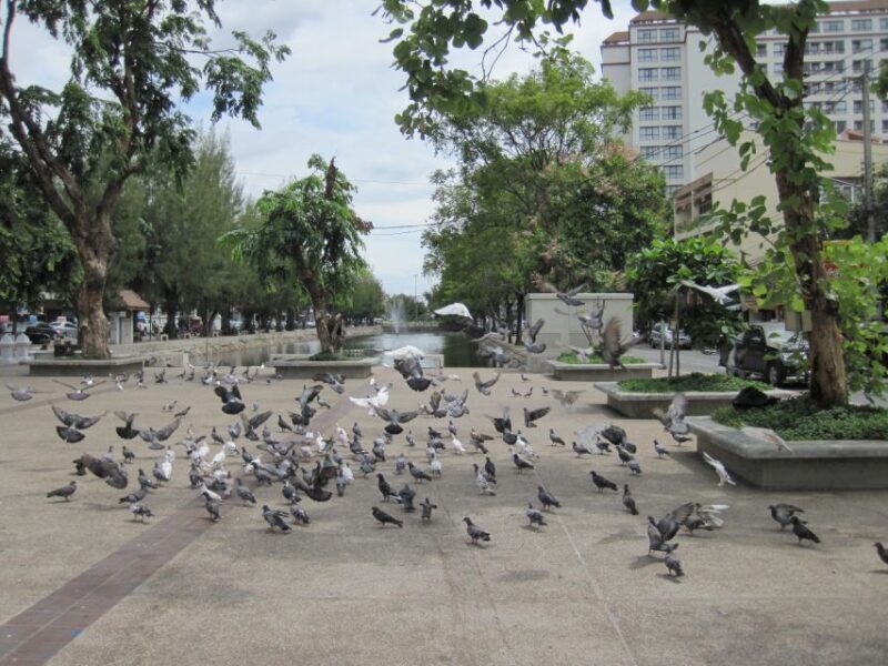 Chiang Mai: Guided Historical City Tour by Bike with Lunch - FAQ