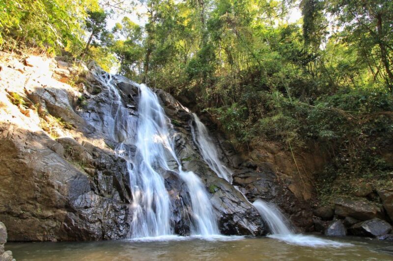 Chiang Mai: Guided Jungle and Waterfall Trek with Transfer - The Sum Up