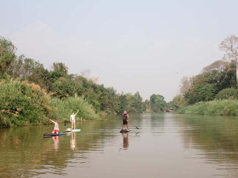 Chiang Mai: Guided Nature SUP Adventure - What to Expect on Your SUP Adventure in Chiang Mai