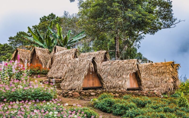 Chiang Mai: Half day Doi Suthep and Meo Village - What to Expect from Your Chiang Mai Half-Day Tour