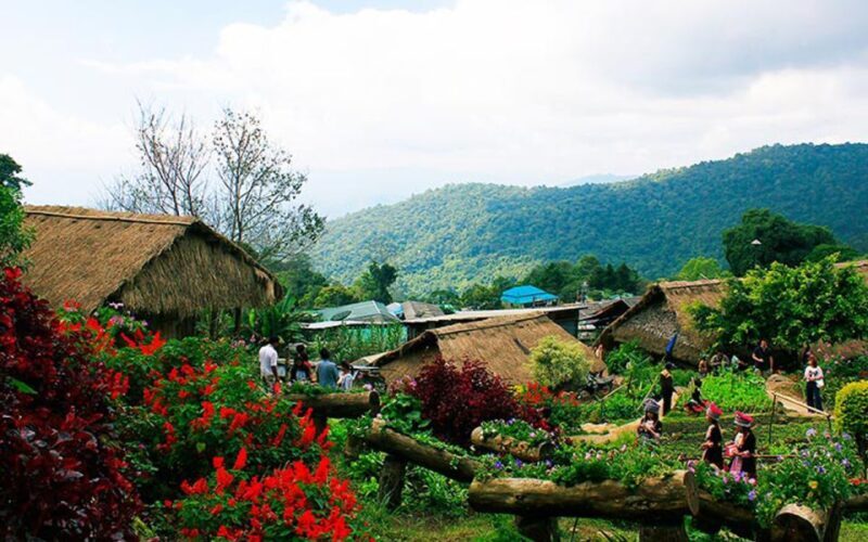 Chiang Mai: Half day Doi Suthep and Meo Village - Who Will Enjoy This Tour?