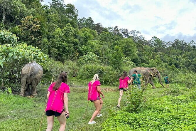 Chiang Mai Half Day Elephant Sanctuary Observation and Waterfall - Why This Tour Is a Great Choice