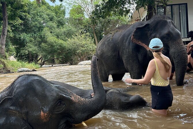 Chiang Mai Half Day Elephant Sanctuary Observation and Waterfall - FAQ