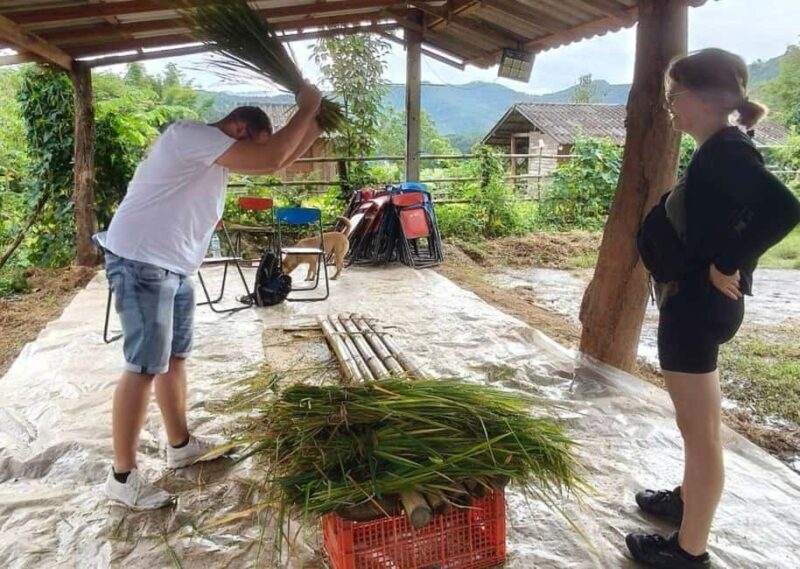Chiang Mai: Half-Day Rice Farming Experience - An In-Depth Look at the Rice Farming Experience