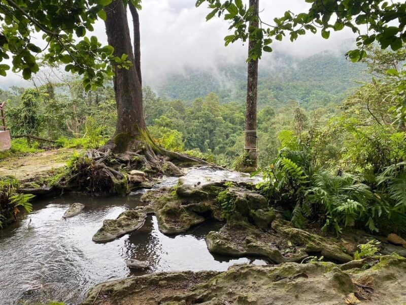 Chiang Mai Half Day Tour: Sticky Waterfall & Hotel Transfer - Key Points
