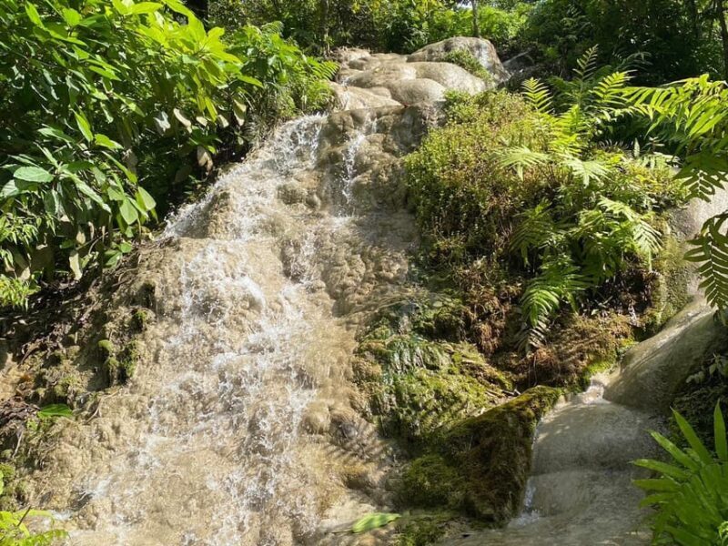 Chiang Mai Half Day Tour: Sticky Waterfall & Hotel Transfer - The Value of This Tour