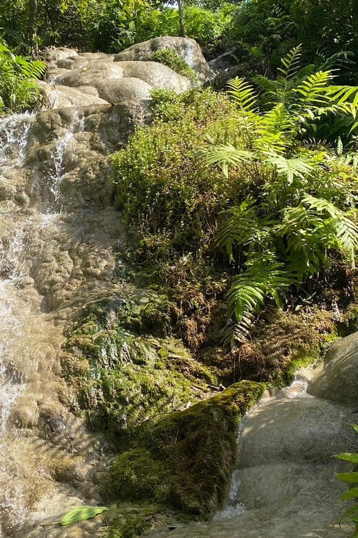 Chiang Mai Half Day Tour: Sticky Waterfall & Hotel Transfer - Who Should Consider This Tour?