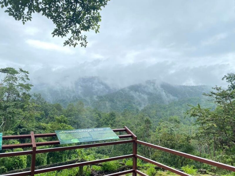 Chiang Mai Half Day Tour: Sticky Waterfall & Hotel Transfer - The Sum Up: The Bottom Line for Your Chiang Mai Adventure