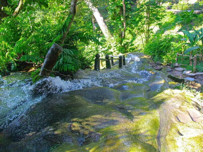 Chiang Mai: Hidden Gem Waterfall and Local Market Tour - Detailed Review of the Tour Experience