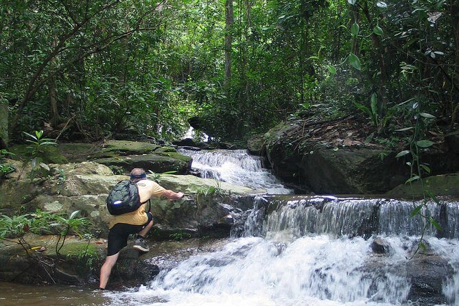 Chiang mai Hike & Downhill Bike Adventure Suthep National Park - What the Tour Entails: An In-Depth Look