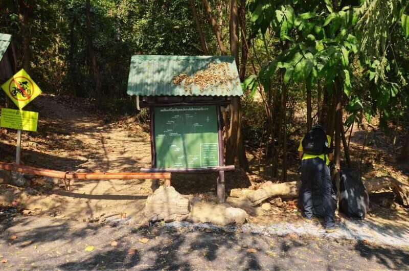 Chiang Mai: Hike on Monks Trail and Doi Suthep Private Tour - Who Will Enjoy This Tour?