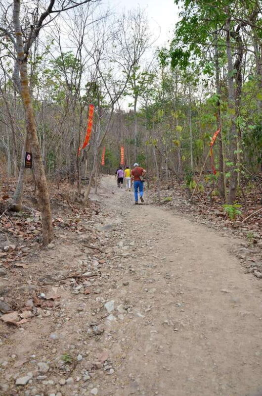 Chiang Mai: Hike on Monks Trail and Doi Suthep Private Tour - The Sum Up