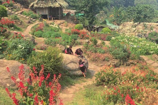 Chiang Mai Iconic Temples and City Tour - Transportation and Group Size
