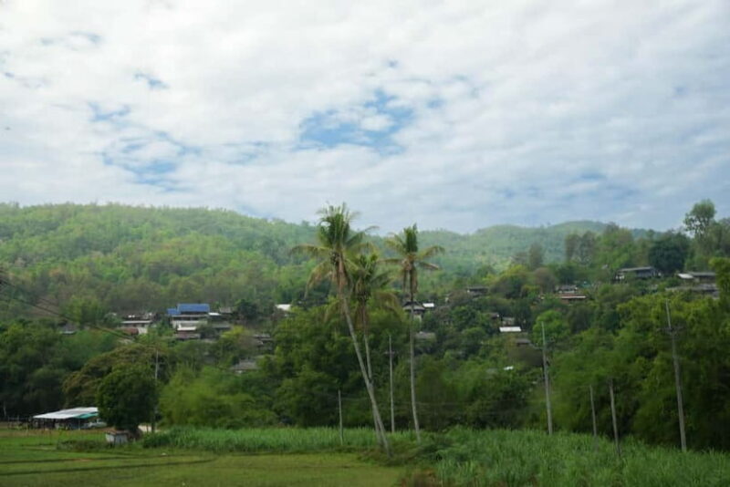 Chiang Mai: Jungle Jumbo Elephant Sanctuary with Waterfall - Final Thoughts