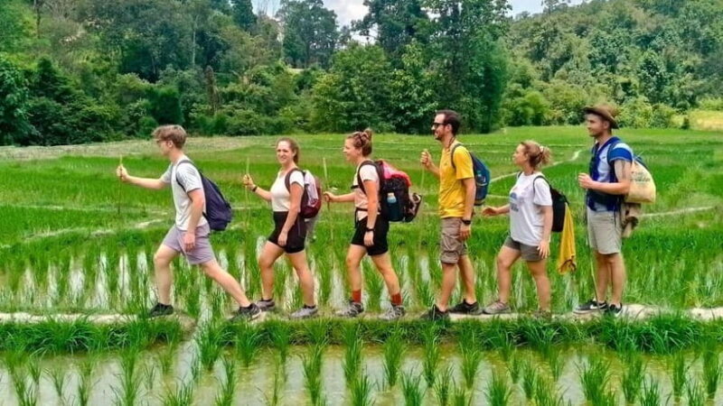 Chiang Mai: Jungle Trek, Elephants care & Bamboo Rafting - Key Points