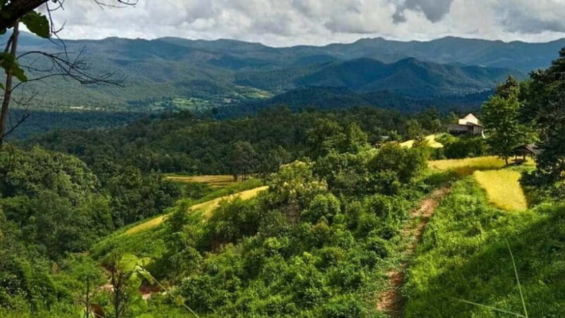 Chiang Mai: Jungle Trek, Elephants care & Bamboo Rafting - The Real Experience: What Travelers Say
