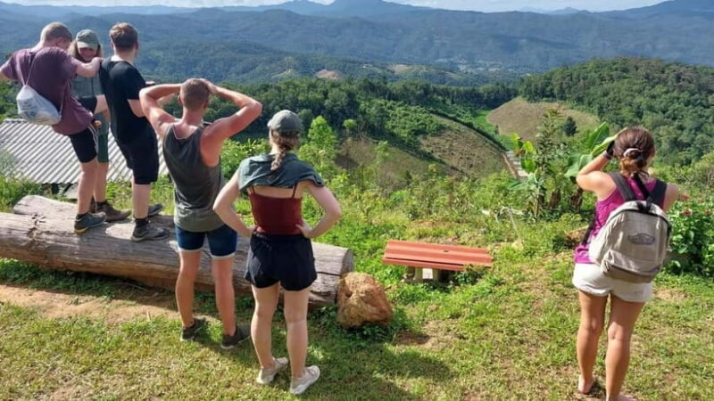 Chiang Mai: Jungle Trek, Elephants care & Bamboo Rafting - Who Should Consider This Tour?
