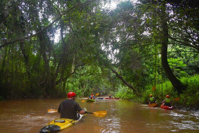 Chiang Mai : Kayak the Jungle Rivers of Chiang Dao Valley! - An In-Depth Look at the Chiang Dao River Kayaking Tour