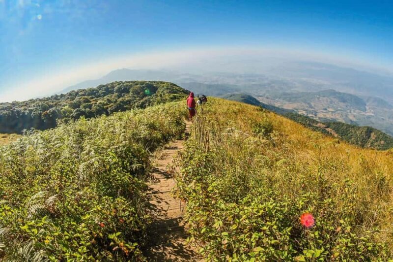 Chiang Mai: Kew Mae Pan Nature Trail & Doi Inthanon Day Trip - FAQs