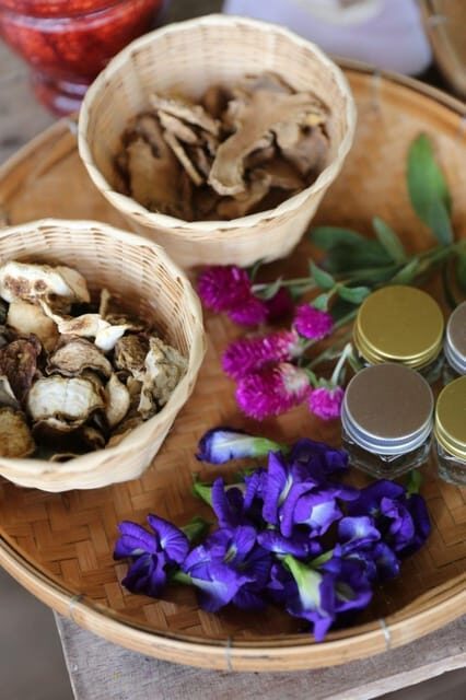 Chiang Mai : Making Herbal Ball And Inhaler - What the Experience Offers