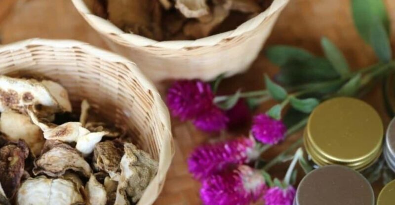 Chiang Mai : Making Herbal Ball And Inhaler - Authenticity and Reviews: What Participants Say