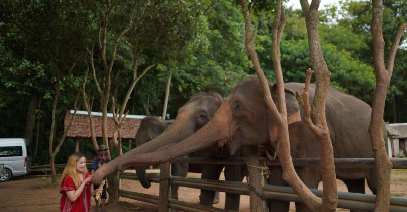 Chiang Mai: National Elephant Care, Rafting, & Ziplines Trip - An Honest Breakdown of the Tour