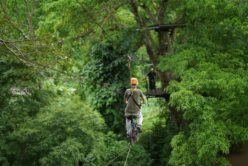 Chiang Mai: National Elephant Care, Rafting, & Ziplines Trip - Authentic Experiences and Practical Tips