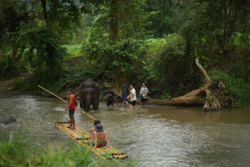 Chiang Mai: National Elephant Care, Rafting, & Ziplines Trip - FAQ