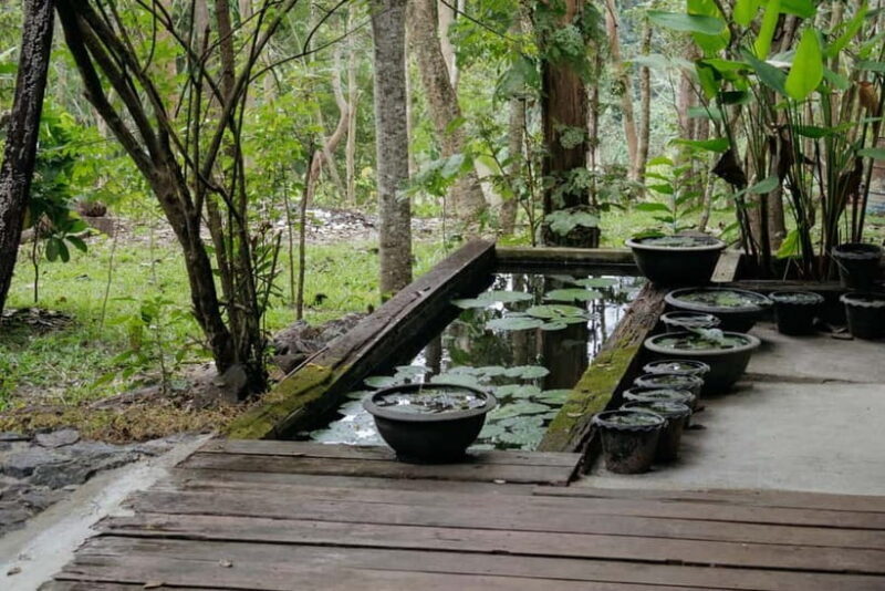 Chiang Mai: Nature and Nurture 1-Day All About Love Retreat - Key Points