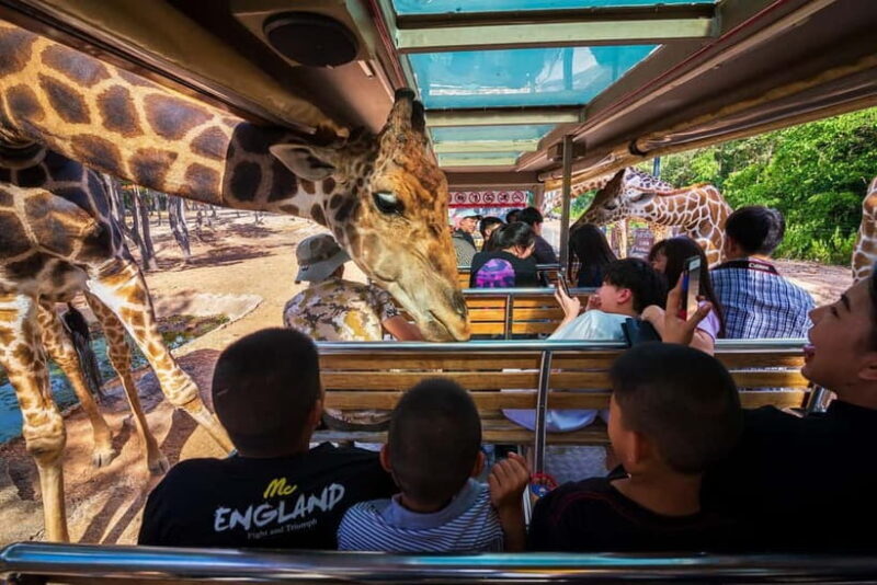 Chiang Mai Night Safari: Entry Ticket with Tram Ride - Key Points