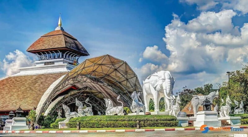 Chiang Mai Night Safari: Entry Ticket with Tram Ride - An Honest Look at Chiang Mai Night Safari
