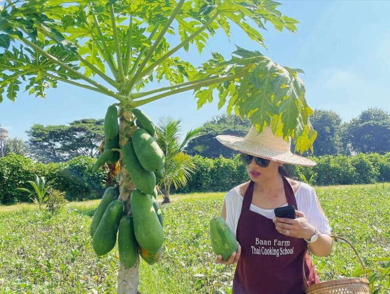 Chiang Mai Organic Thai Cooking Experience - Detailed Breakdown of the Itinerary