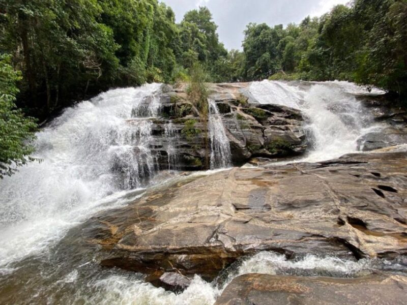 Chiang Mai: Pha Dok Siew Nature Trail & Doi Inthanon Trip - Introduction: Discover the Natural Wonders of Chiang Mai