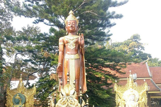 Chiang Mai Private Tour with Tea Plantation, Karen Village, Doi Suthep - Who Will Appreciate This Tour?