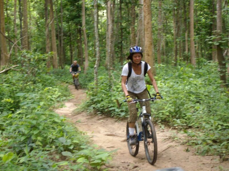 Chiang Mai: Rainforest Guided Mountain Biking Tour - What to Expect on the Chiang Mai Rainforest Mountain Biking Tour