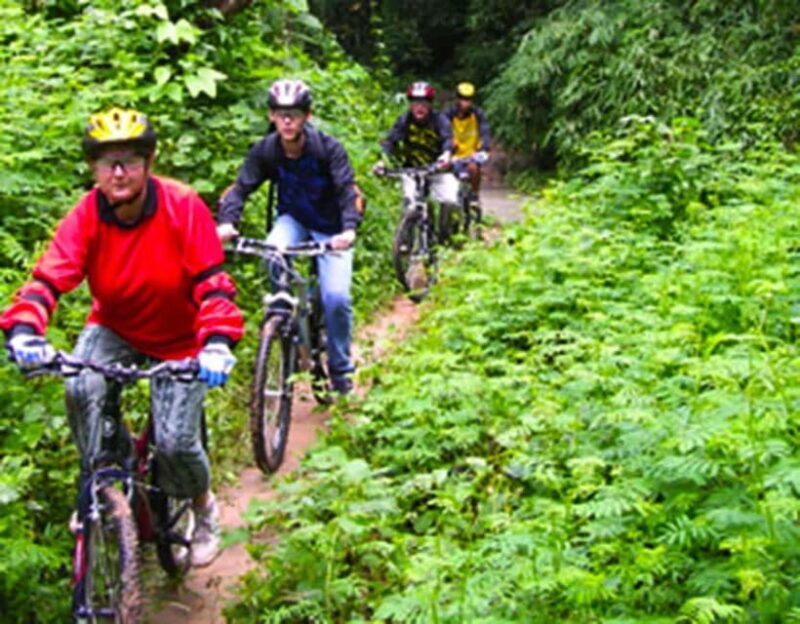Chiang Mai: Rainforest Guided Mountain Biking Tour - Authentic Perspectives from Participants