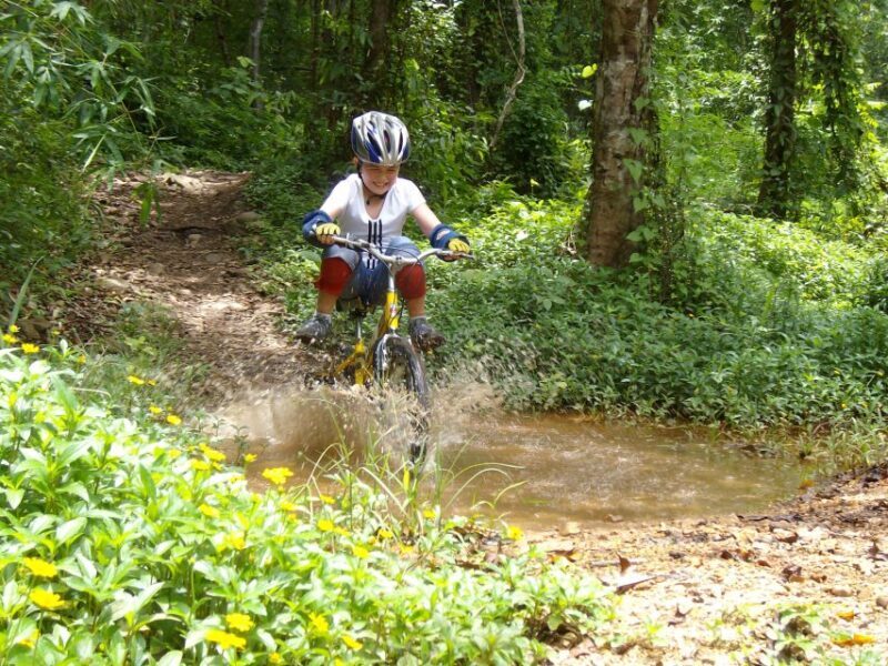 Chiang Mai: Rainforest Guided Mountain Biking Tour - Value and Practical Considerations