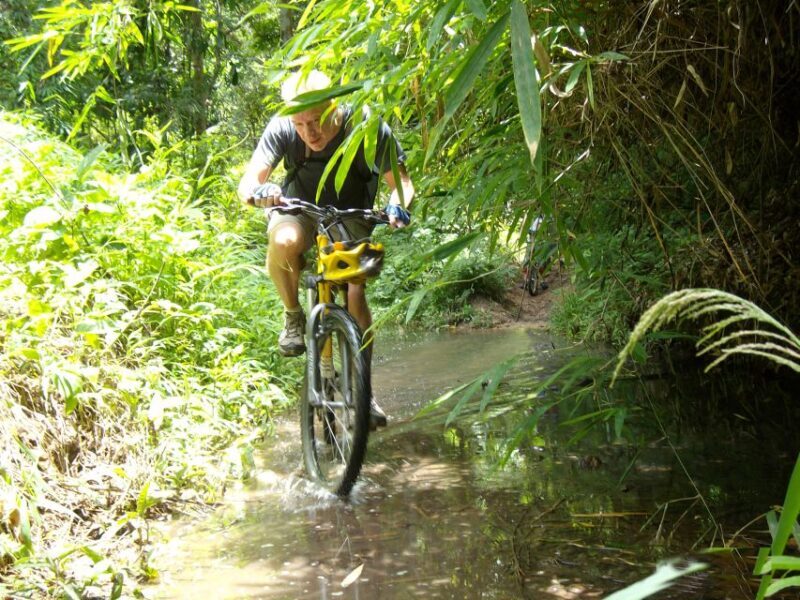 Chiang Mai: Rainforest Guided Mountain Biking Tour - Who Is This Tour Best For?