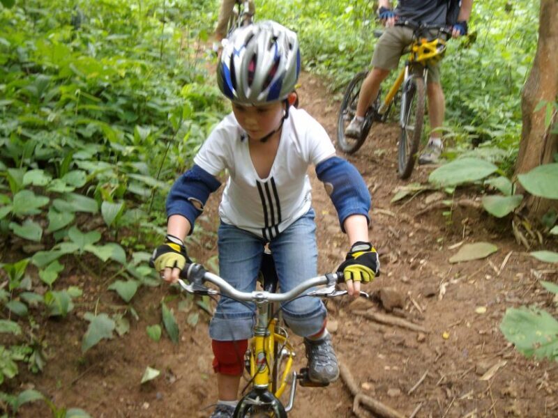 Chiang Mai: Rainforest Guided Mountain Biking Tour - The Sum Up