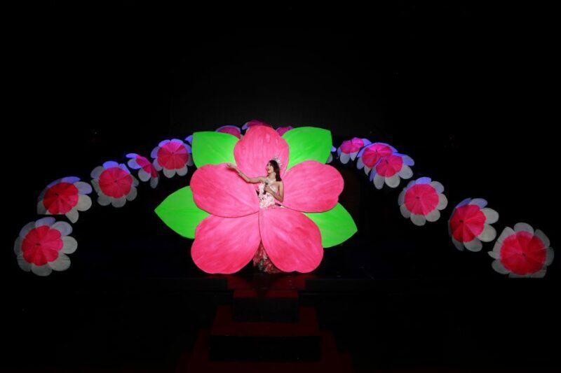 Chiang Mai: Siam Dragon Cabaret Show with Optional Transfer - Introduction