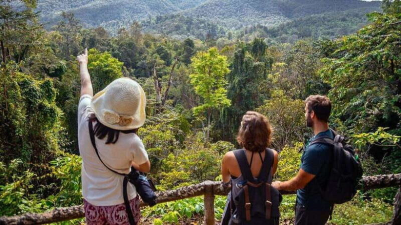 Chiang Mai: Sticky Waterfall, Chet Si Fountain Park Transfer - A Deep Dive into the Experience