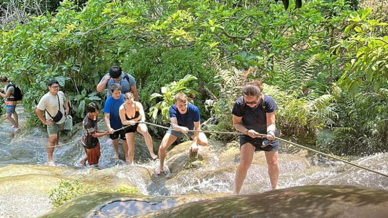 Chiang Mai : Sticky waterfall (Half Day Tour) Hotel Transfer - What to Expect at the Waterfall