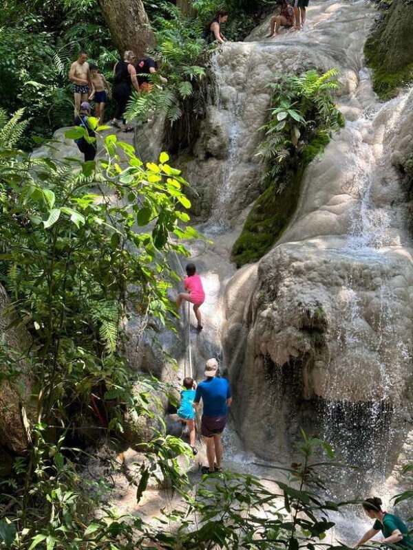 Chiang Mai : Sticky waterfall (Half Day Tour) Hotel Transfer - Practical Tips for Your Visit