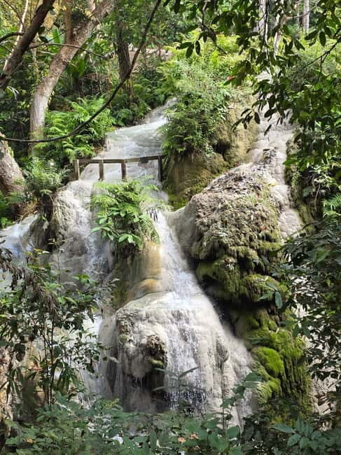 Chiang Mai : Sticky waterfall (Half Day Tour) Hotel Transfer - Authentic Traveler Feedback